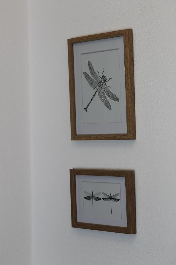 Appartement Saegemuehle Eschachthal à Buchenberg  Extérieur photo