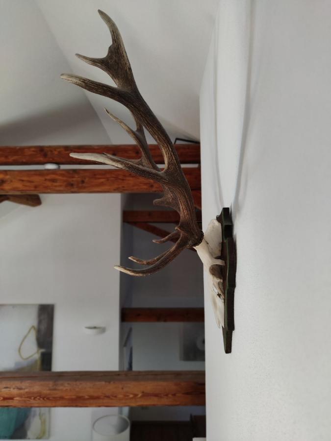 Appartement Saegemuehle Eschachthal à Buchenberg  Extérieur photo